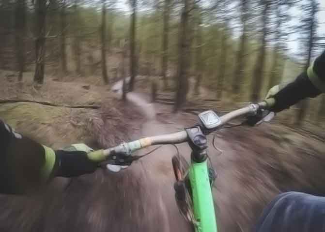 网页在线发短信平台